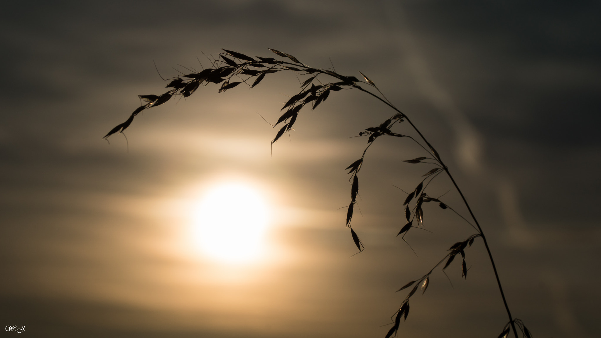Sony ILCA-77M2 + Tamron SP AF 90mm F2.8 Di Macro sample photo. Sunset i photography