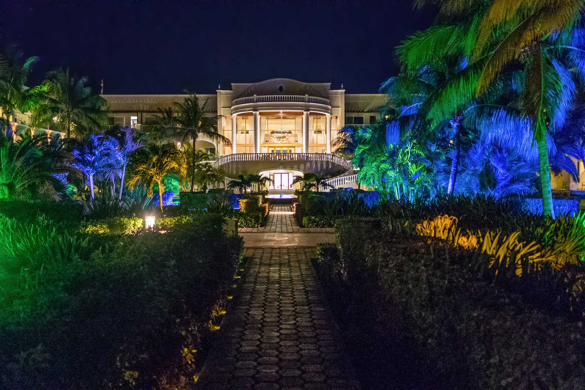 Sony Sonnar T* E 24mm F1.8 ZA sample photo. Neon plantation photography