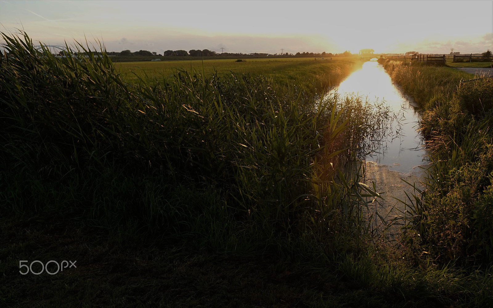 Sony Alpha a5000 (ILCE 5000) + ZEISS Touit 12mm F2.8 sample photo. Noorddijk 8 photography