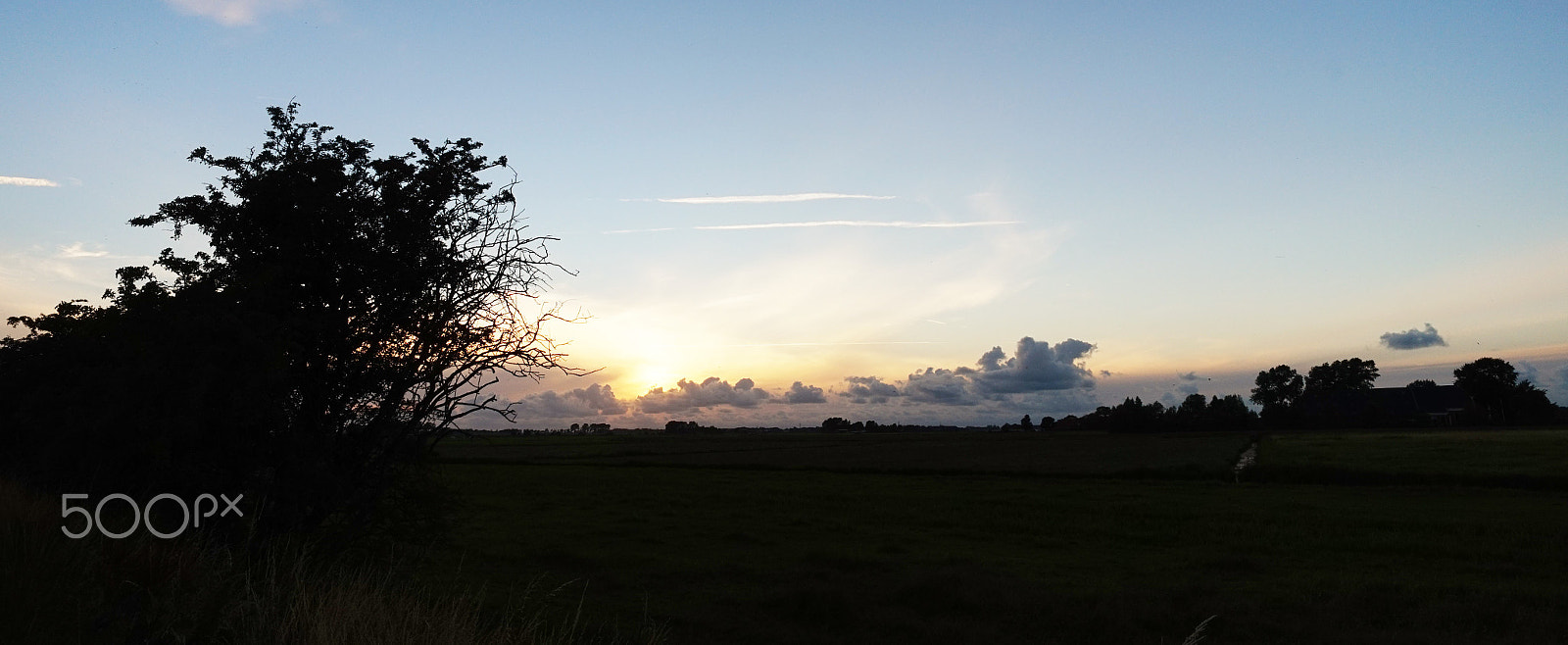 Sony Alpha a5000 (ILCE 5000) + ZEISS Touit 12mm F2.8 sample photo. Noorddijk 5 photography