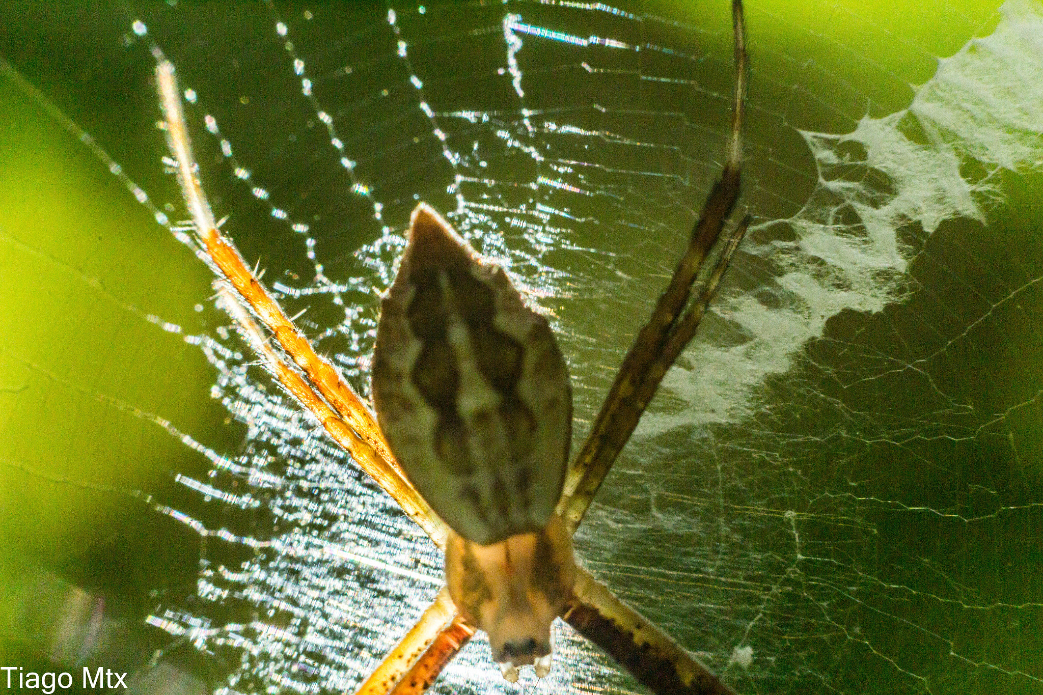 Canon EF 35-80mm f/4-5.6 sample photo