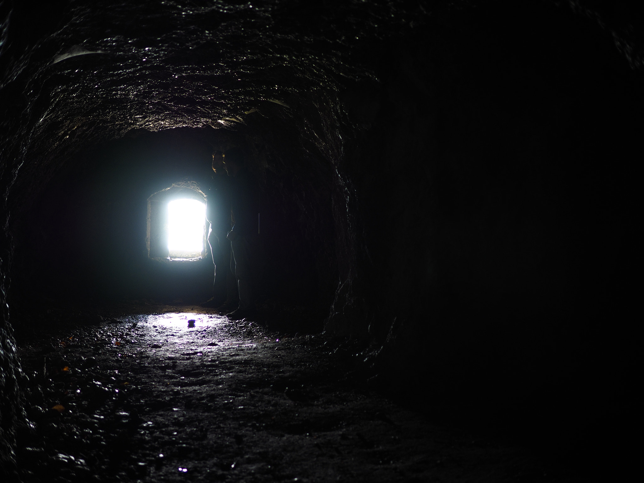 Olympus OM-D E-M1 + Panasonic Leica DG Summilux 25mm F1.4 II ASPH sample photo. Is there anybody out there? photography