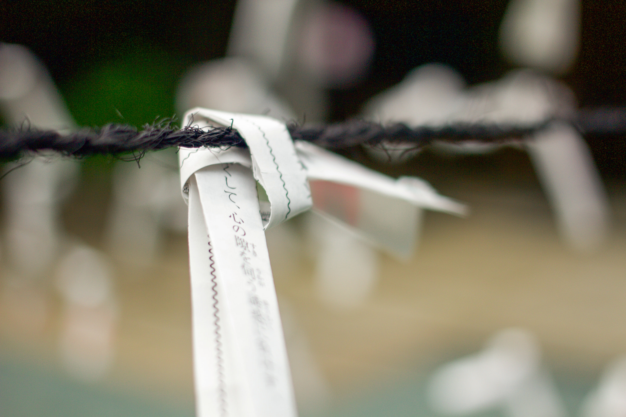 Canon EF 40mm F2.8 STM sample photo