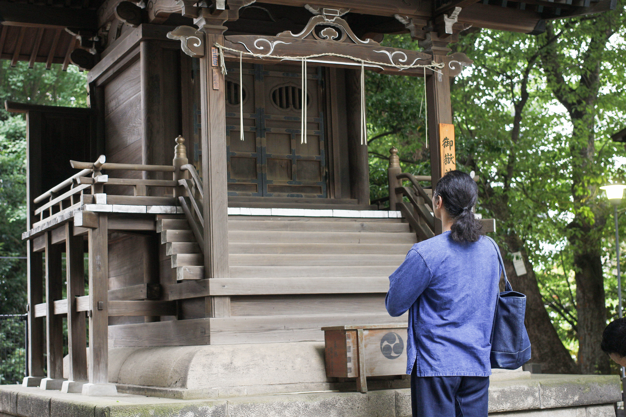 Canon EF 40mm F2.8 STM sample photo