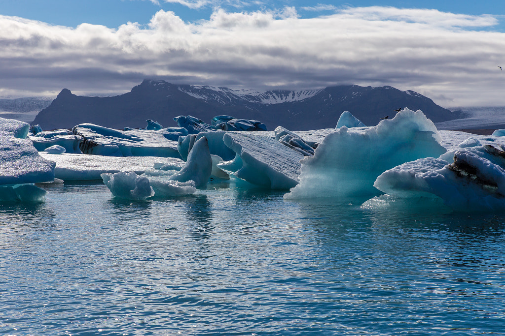 Jökulsárlón by Marc Salm on 500px.com