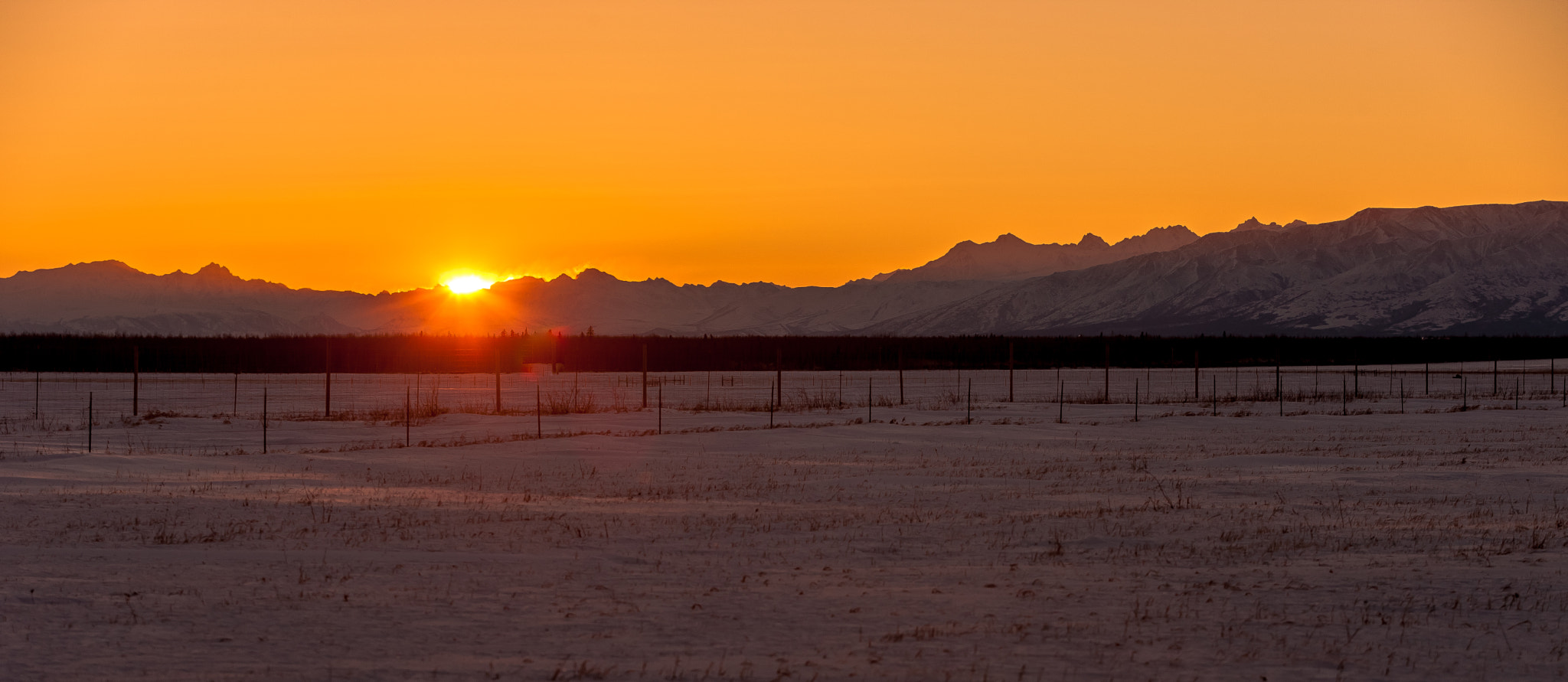 Canon EOS-1Ds Mark III sample photo. Delta junction sunrise photography