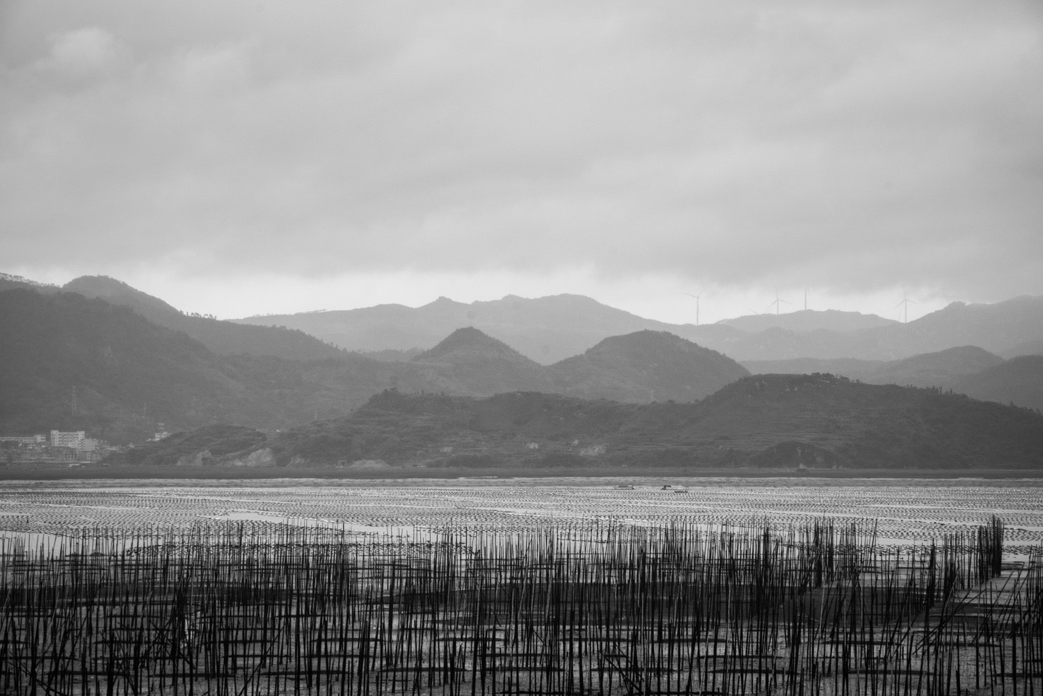 Nikon D800 + AF Nikkor 70-210mm f/4-5.6 sample photo
