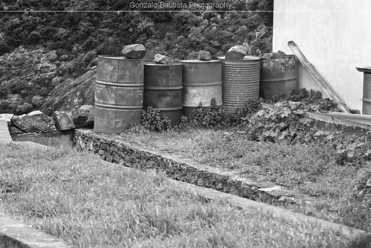 Nikon D40X sample photo. Black & white. photography