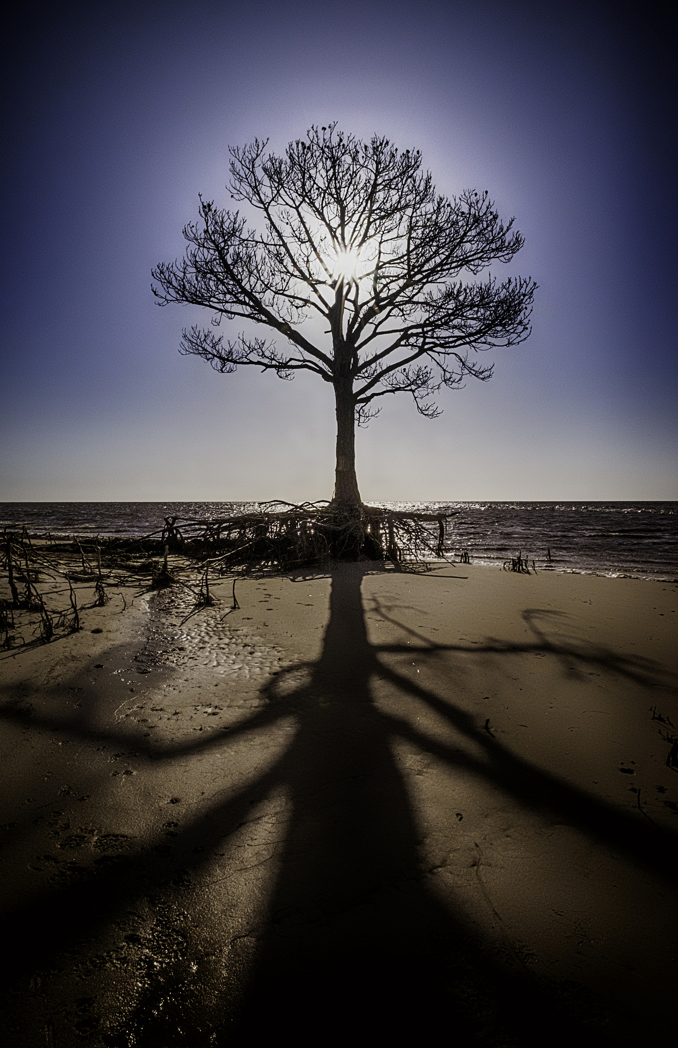 ZEISS Touit 12mm F2.8 sample photo. Still standing after all these years photography