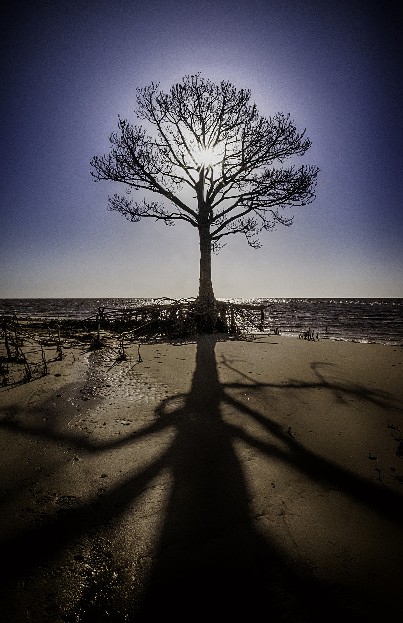 Fujifilm X-T1 + ZEISS Touit 12mm F2.8 sample photo. Still standing after all these years photography