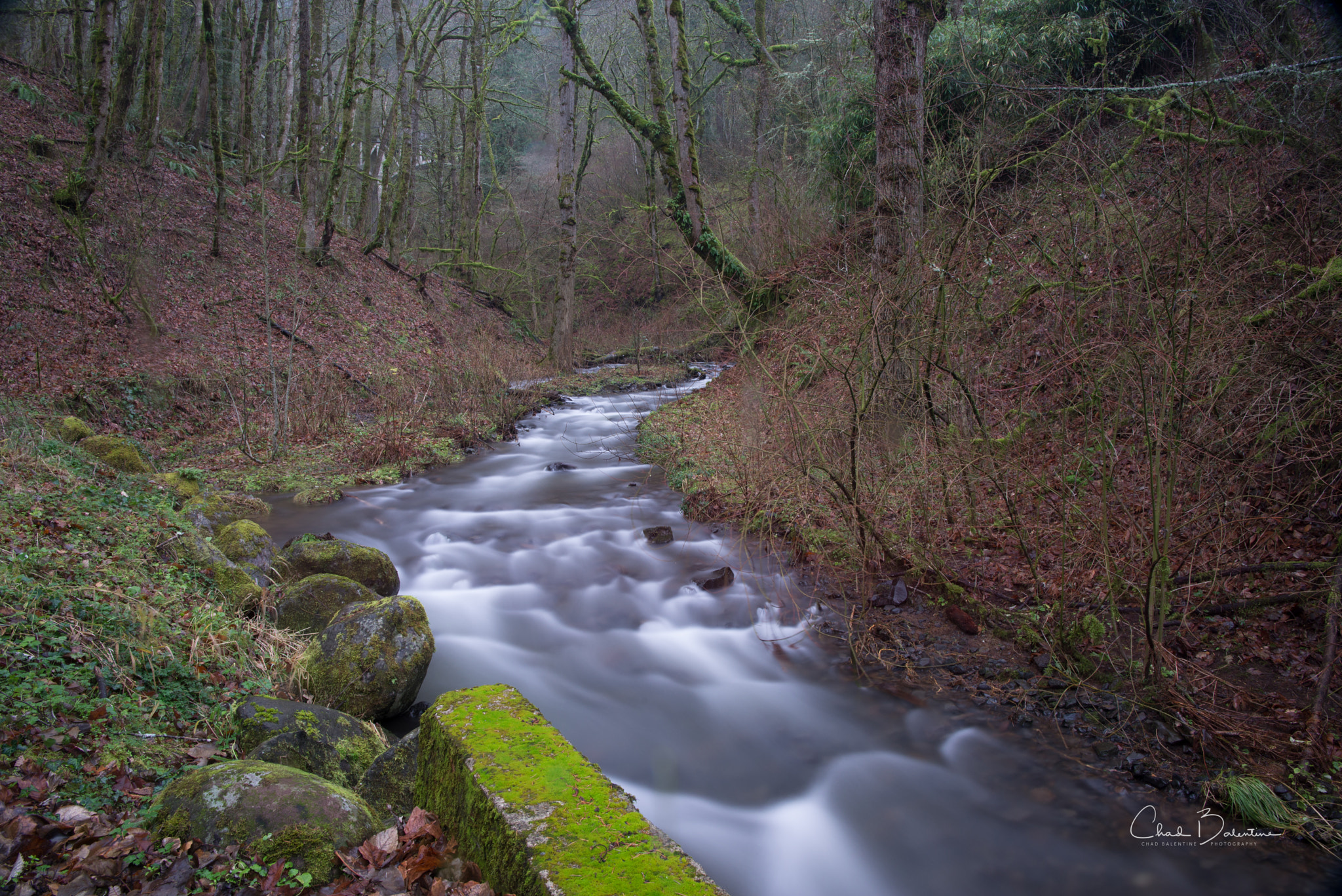 Nikon AF-S Nikkor 24-70mm F2.8E ED VR sample photo. Oregon collection - latourell creek in the winter photography