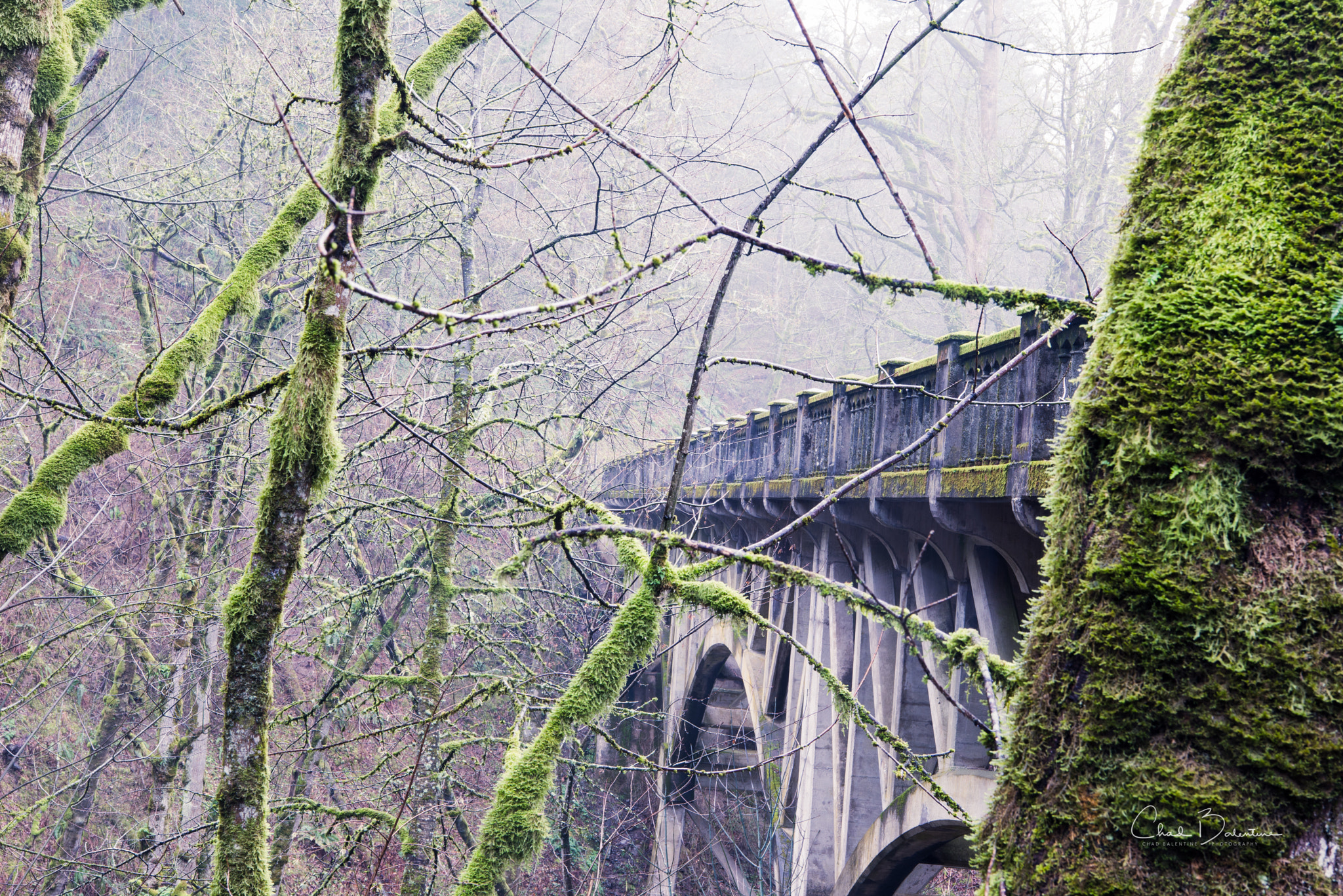 Nikon AF-S Nikkor 24-70mm F2.8E ED VR sample photo. Oregon collection - bridge at latourell falls photography