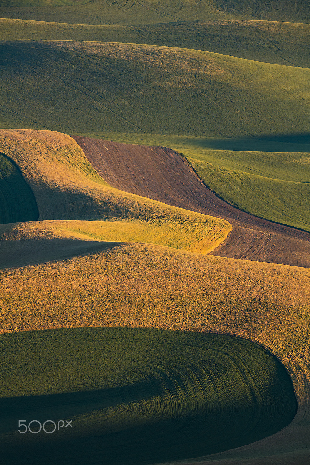 Canon EF 600mm F4L IS II USM sample photo. Palouse photography