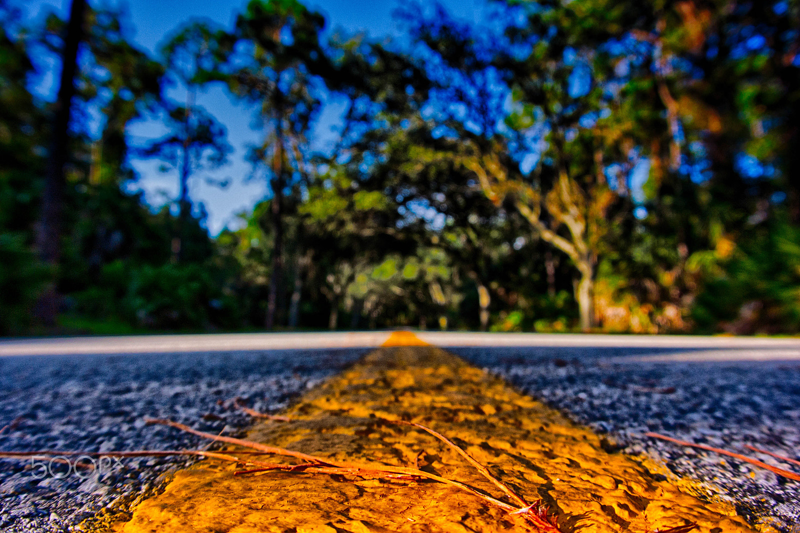 Nikon 1 J3 sample photo. Road to nowhere........ photography