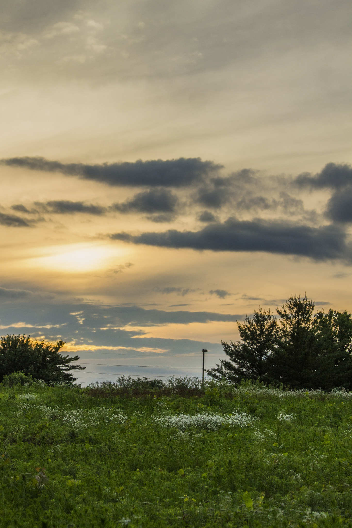Canon EF 70-300mm F4-5.6 IS USM sample photo. Hold on to the light photography
