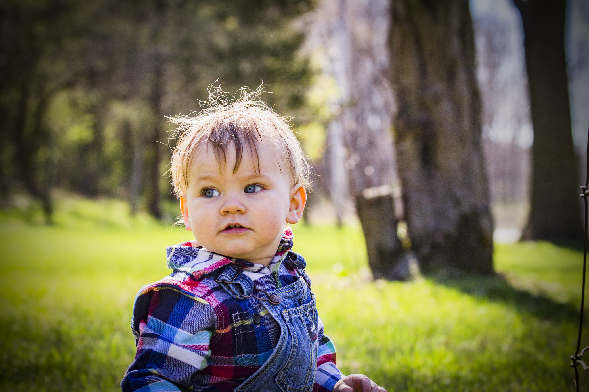 Canon EF 70-300mm F4-5.6 IS USM sample photo. Bear rivers photography