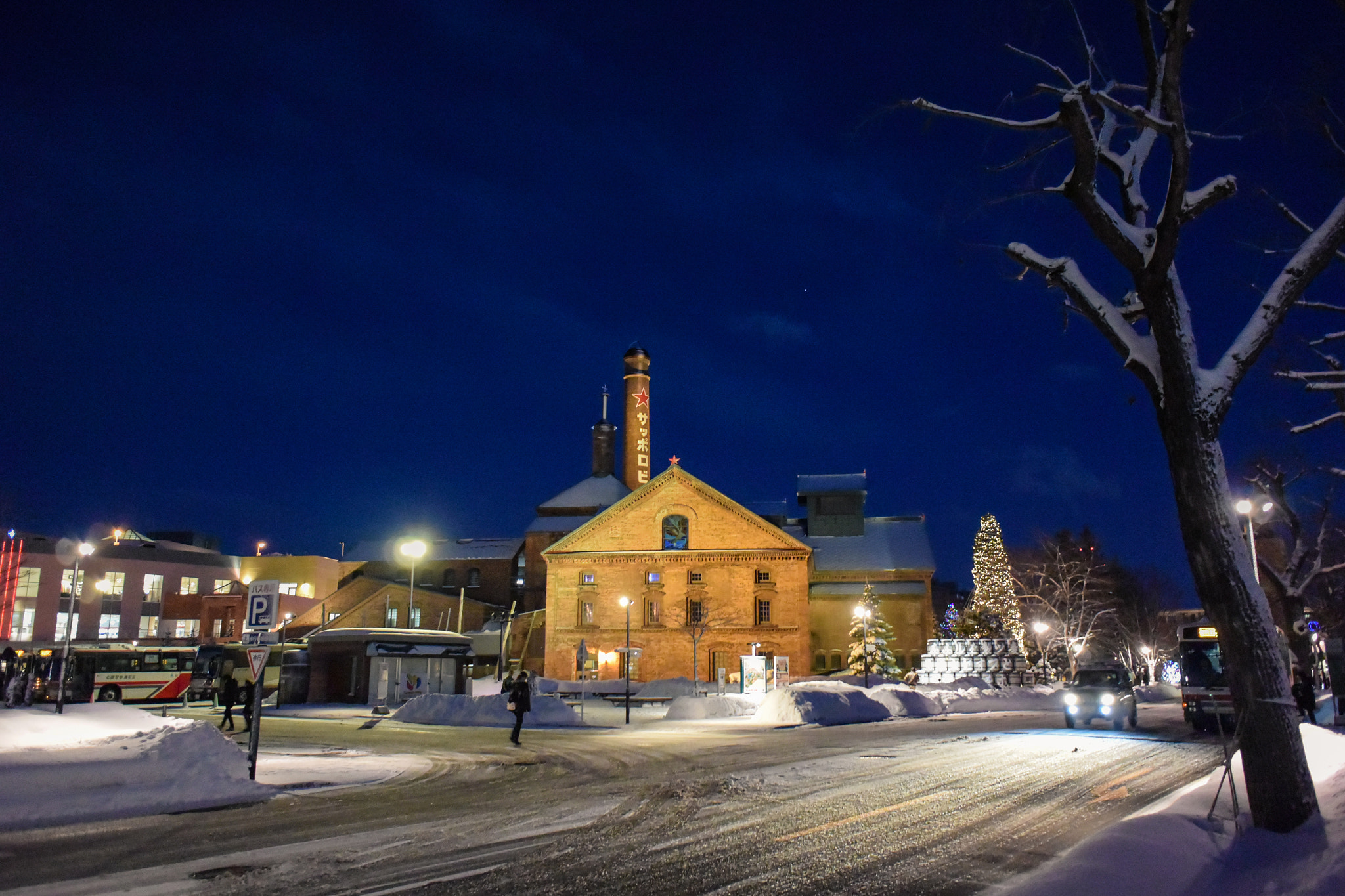 Nikon 1 V3 sample photo. Sapporo beer museum photography