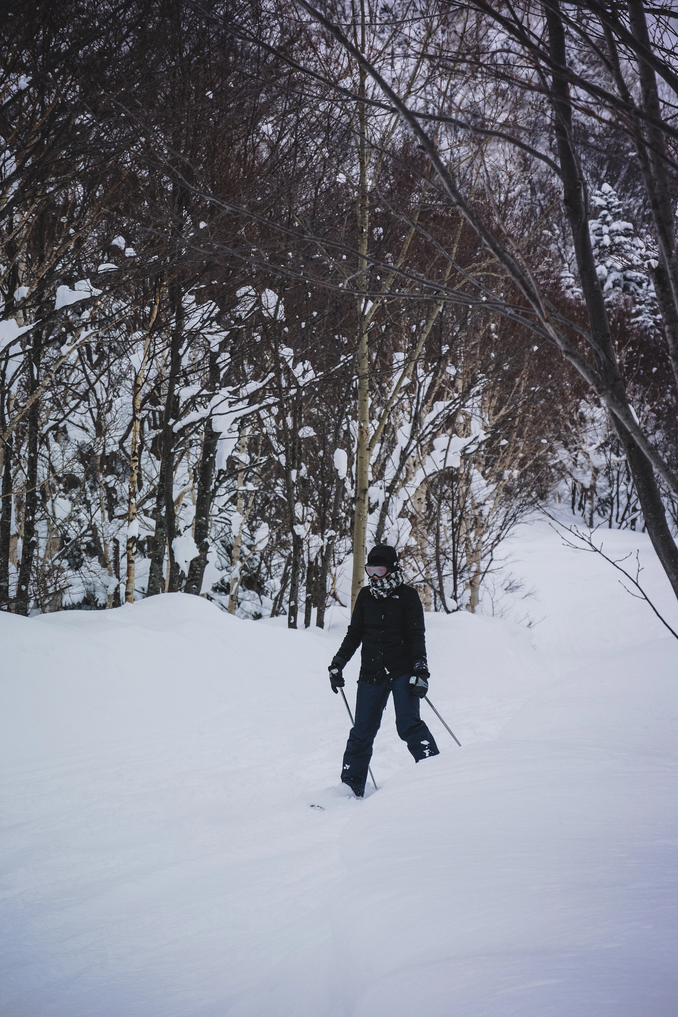 Nikon 1 Nikkor VR 30-110mm F3.8-5.6 sample photo. Ski photography