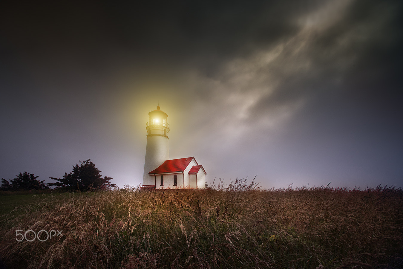 Nikon D810 + Nikon AF Nikkor 14mm F2.8D ED sample photo. Cape blanco lighthouse, or photography