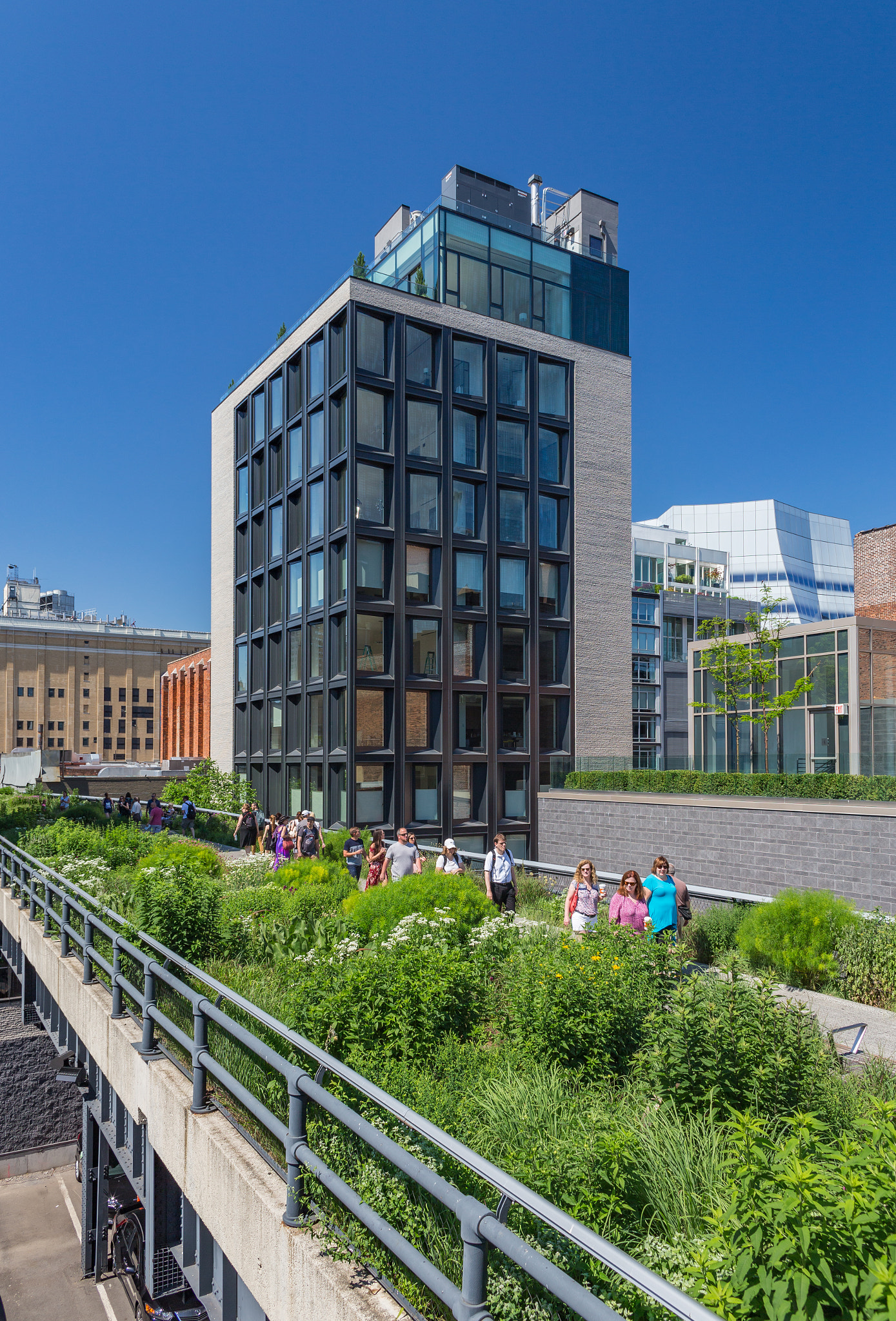 Canon EOS 6D + Canon EF 24mm f/1.4L sample photo. Hugging the high line photography