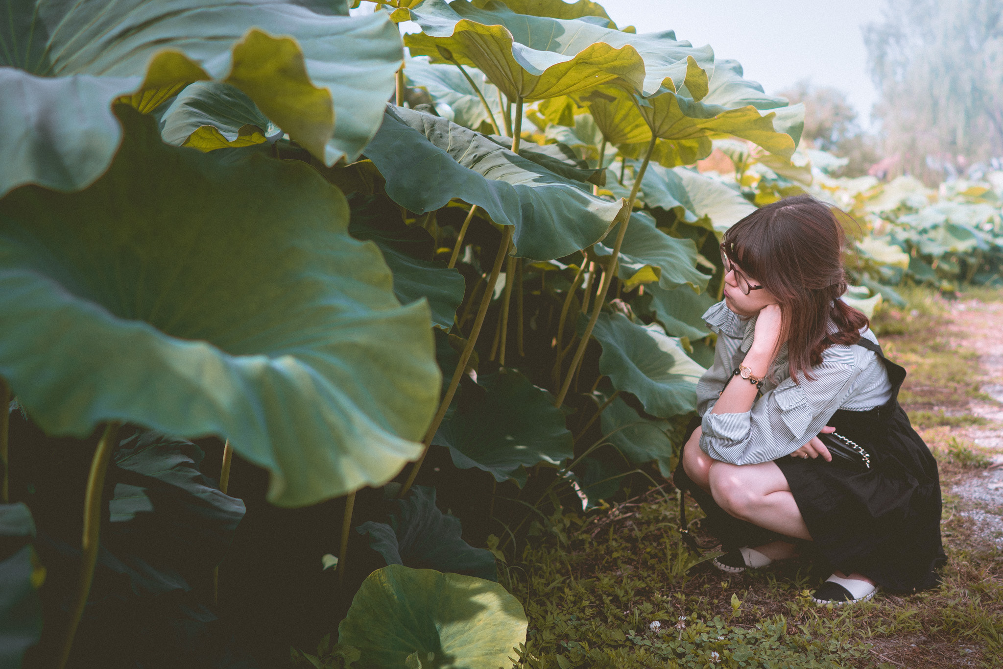 Sony a6300 + ZEISS Batis 25mm F2 sample photo. Lotus crouch photography