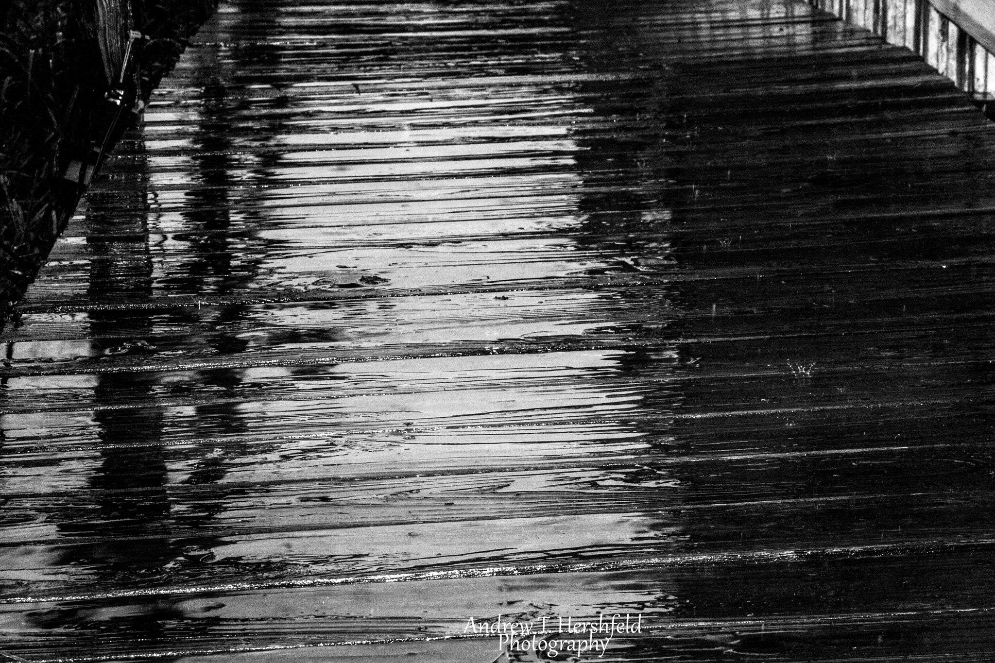 Canon EF 28-80mm f/3.5-5.6 sample photo. Rainy day photography