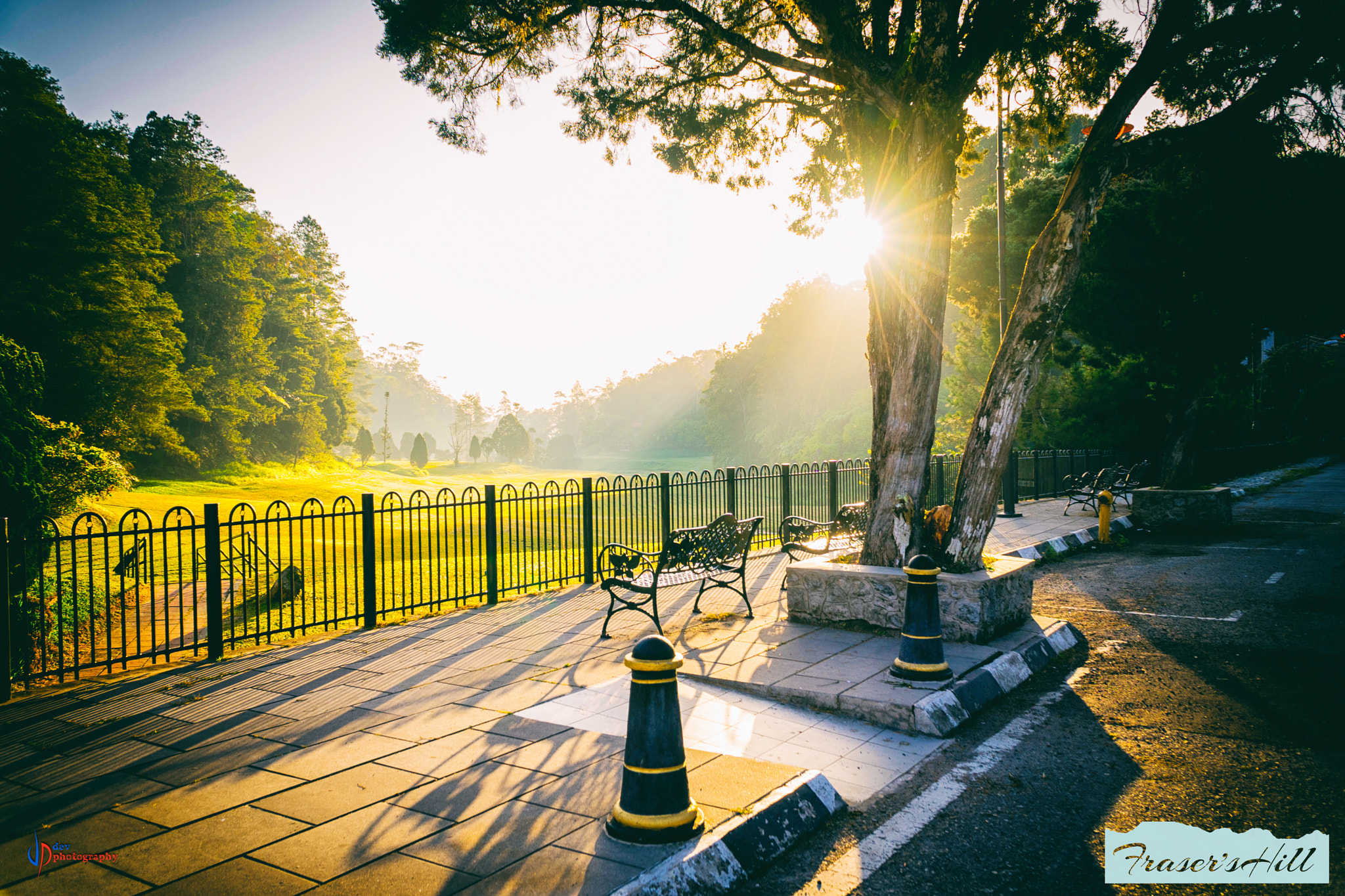 Sony a7 II + Sony E PZ 18-105mm F4 G OSS sample photo. The golden hour photography