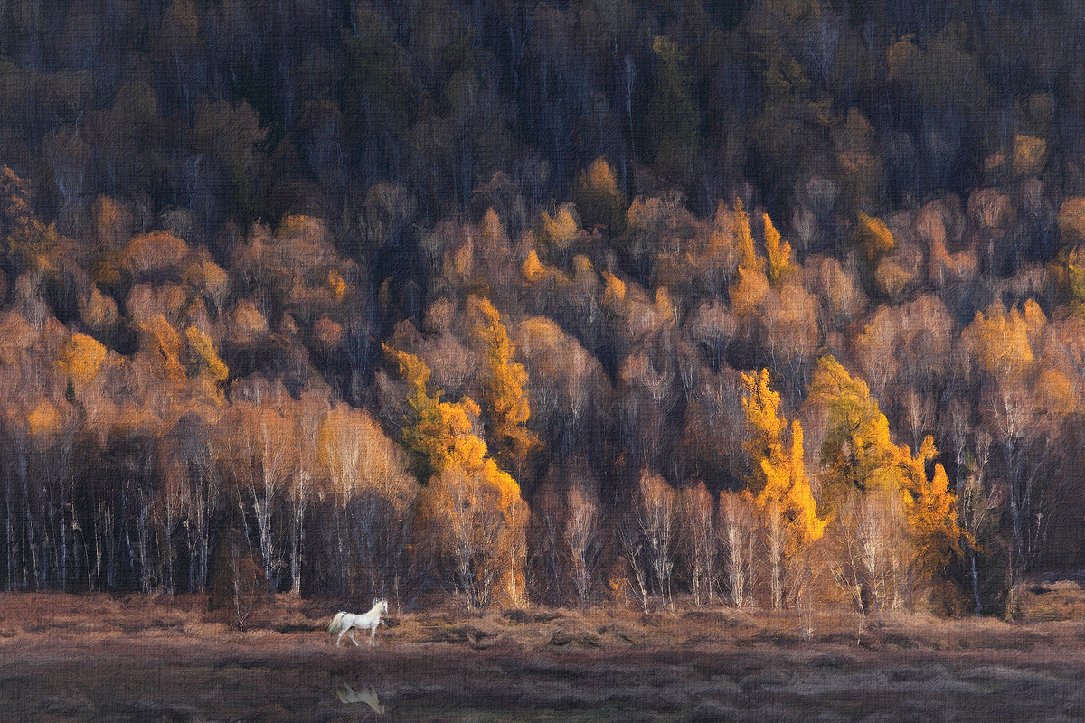 Canon EF 100-400mm F4.5-5.6L IS USM sample photo. Xinjiang uygur autonomous region . china photography