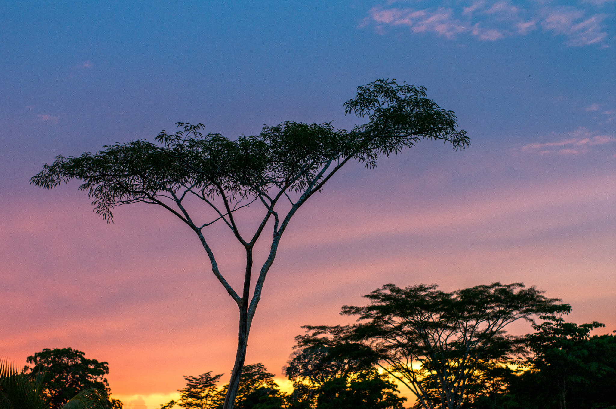 Pentax K-7 + A Series Lens sample photo. Atardecer en la selva photography