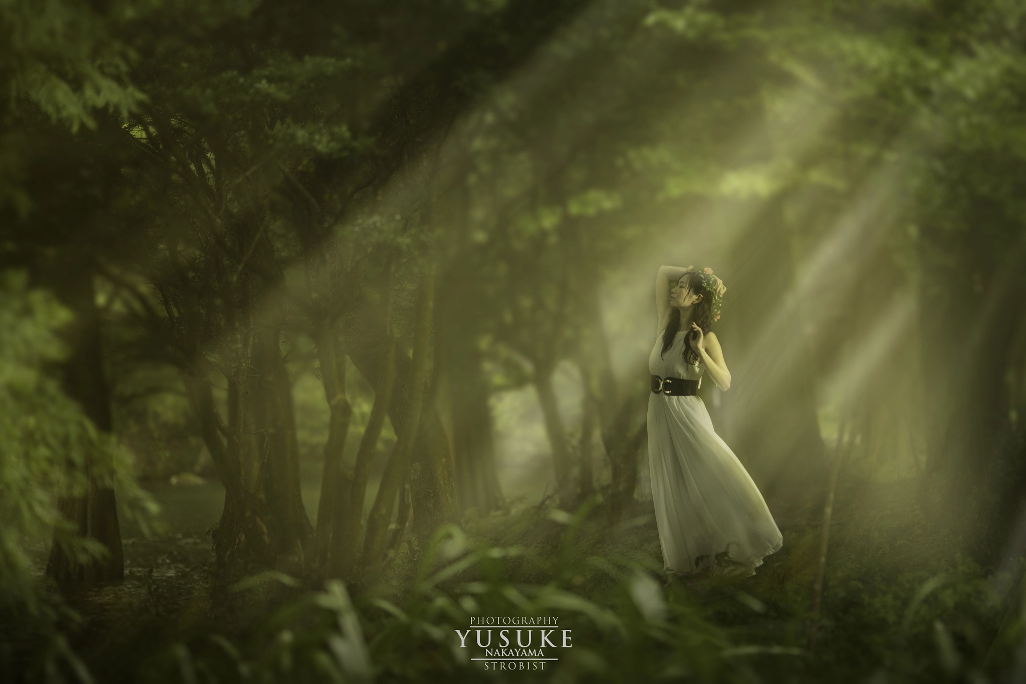 Canon EF 135mm F2L USM sample photo. Light in forest photography