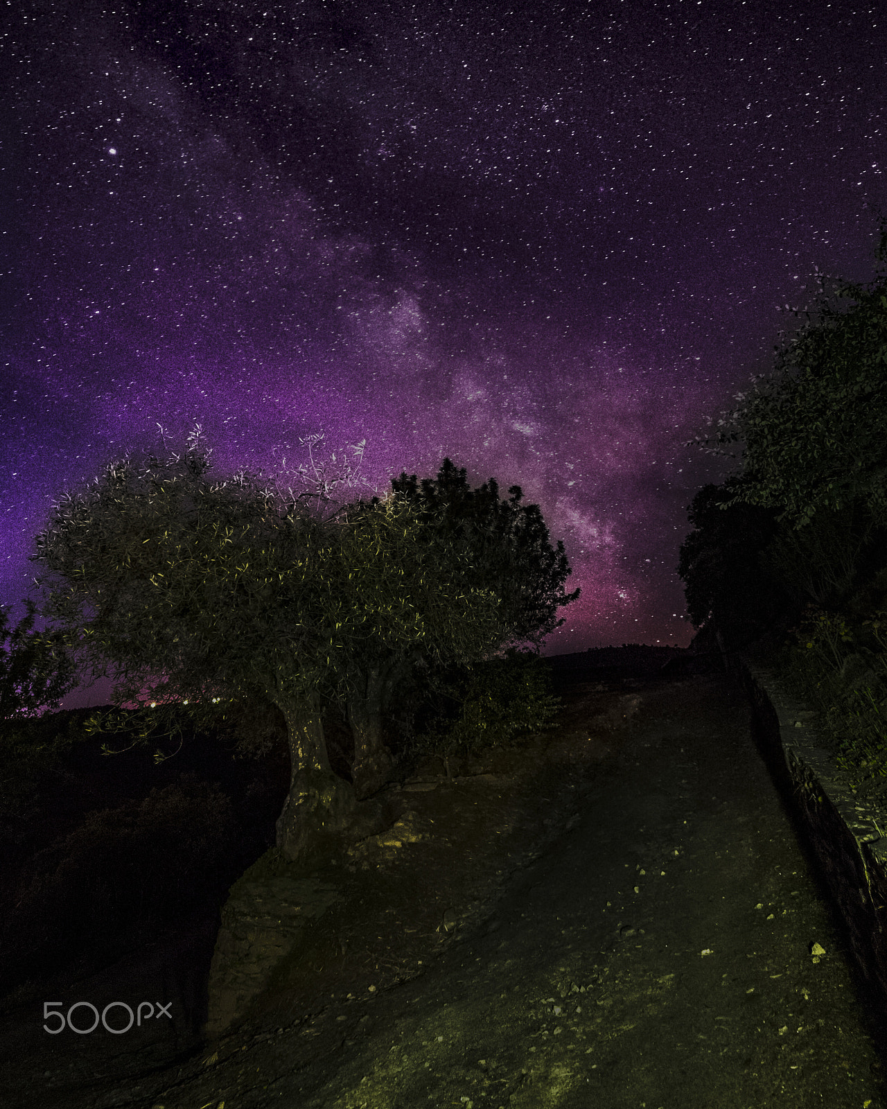 Nikon D610 + Sigma 12-24mm F4.5-5.6 II DG HSM sample photo. Caminho para as estrelas photography