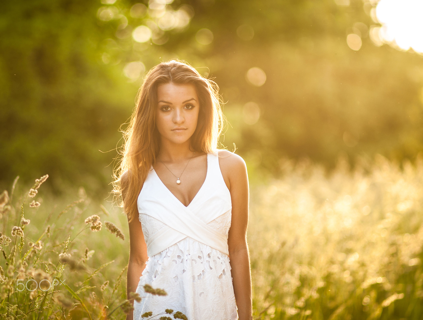 Nikon D3 + AF DC-Nikkor 135mm f/2D sample photo. Kayla | field of gold photography