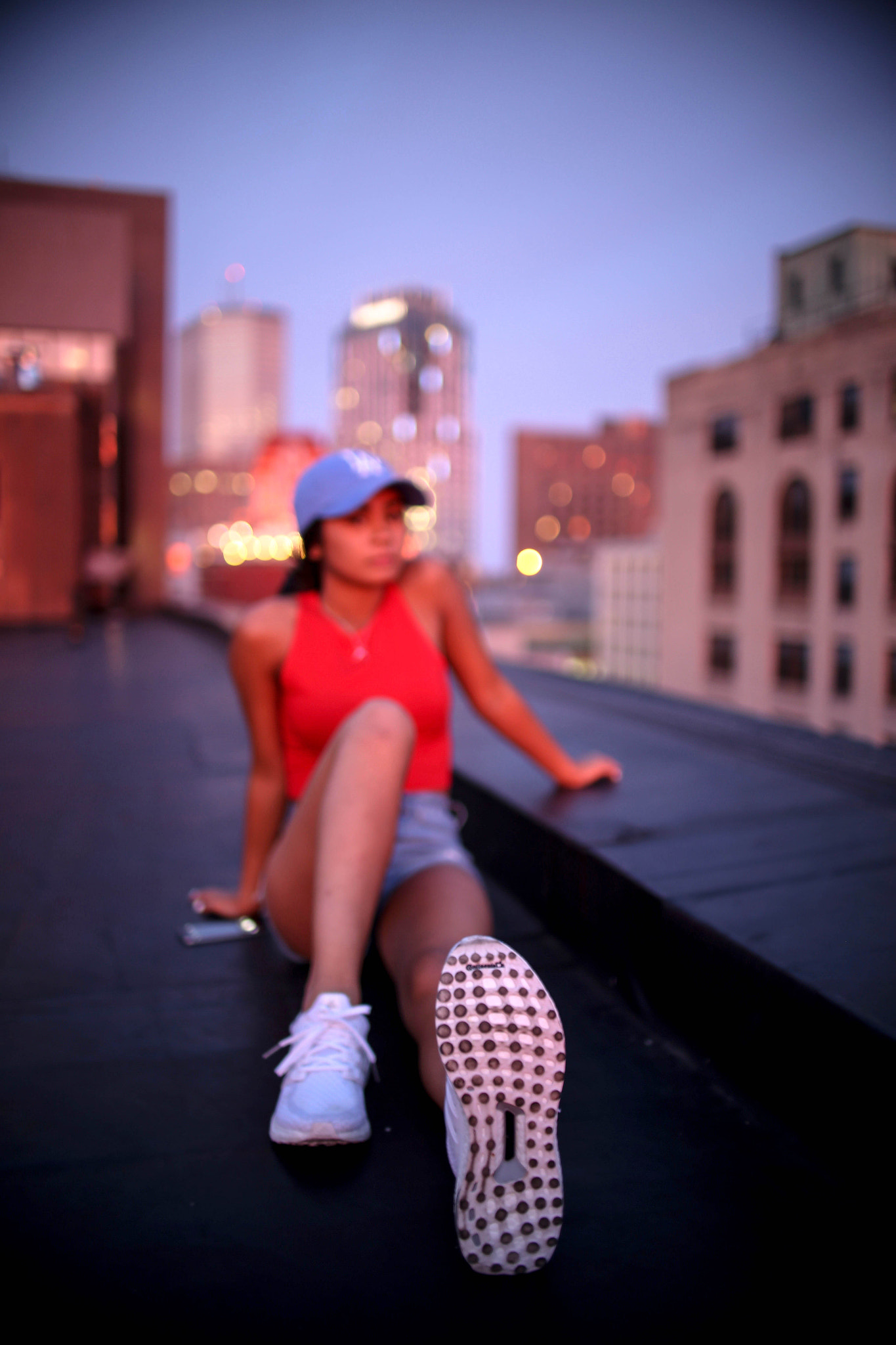 Sigma 30mm F1.4 EX DC HSM sample photo. Roofs photography