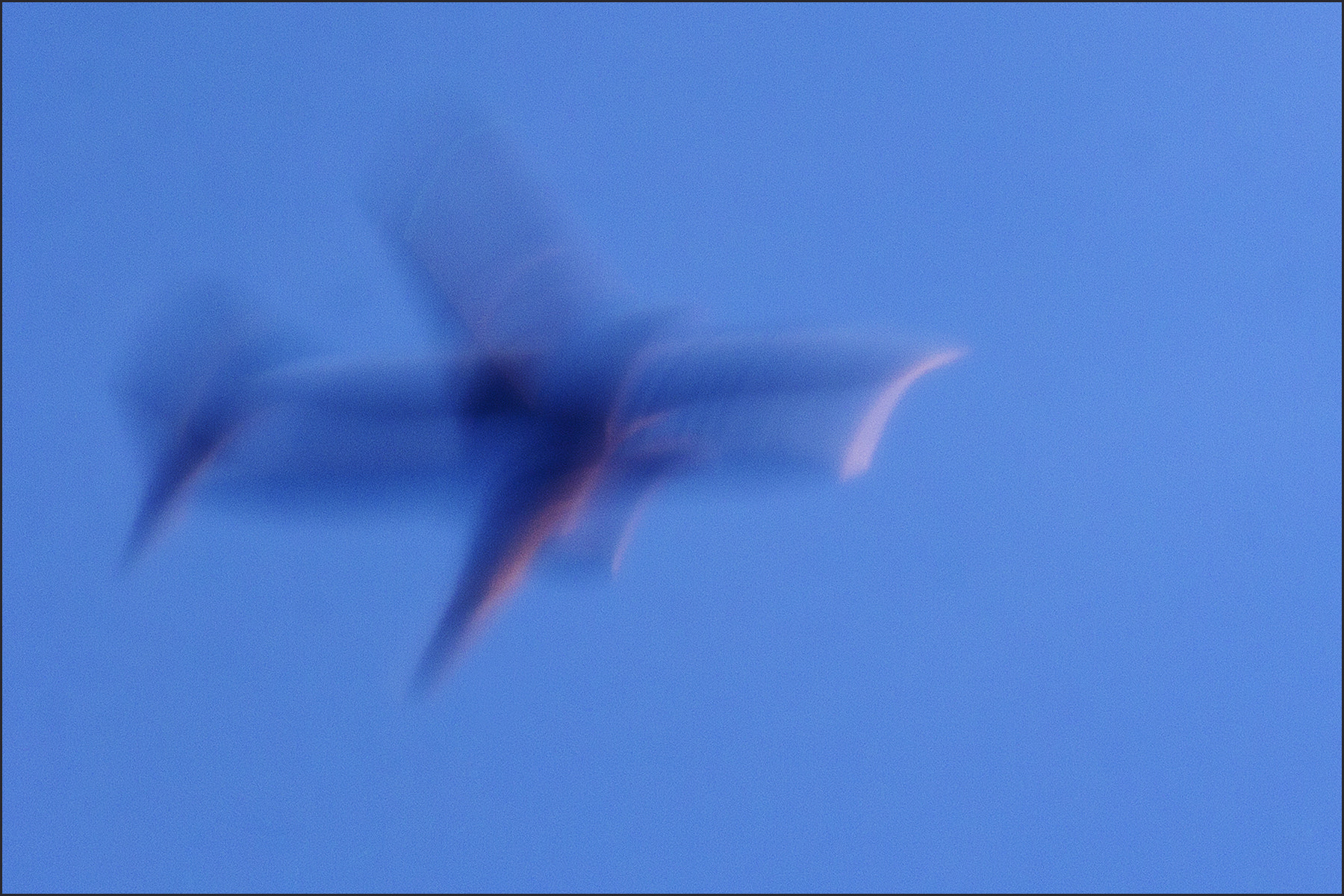 Canon EF 100-400mm F4.5-5.6L IS USM sample photo. Mission impossible - missione impossibile photography