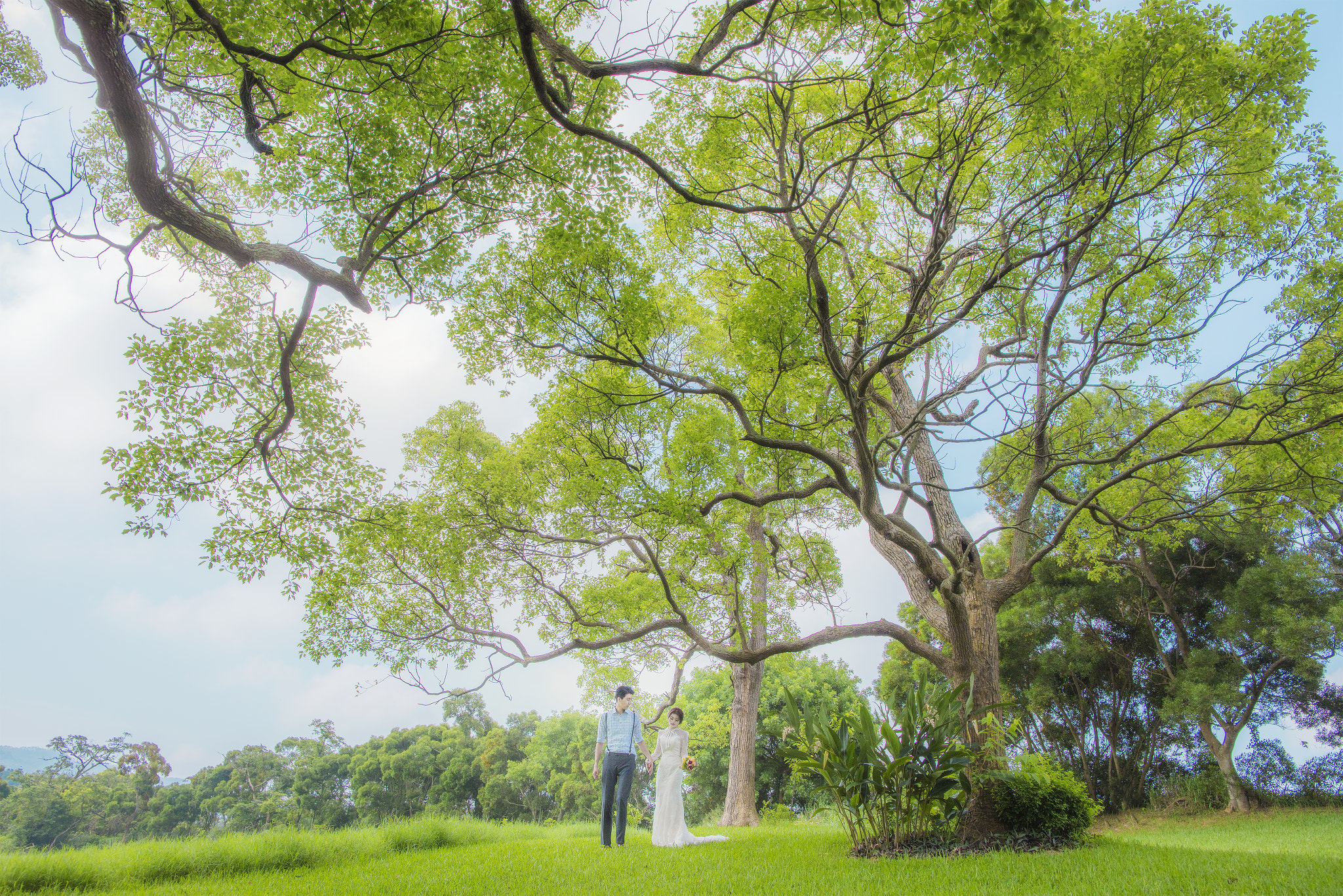 Canon EF 24mm F1.4L II USM sample photo. 27492871670.jpg photography