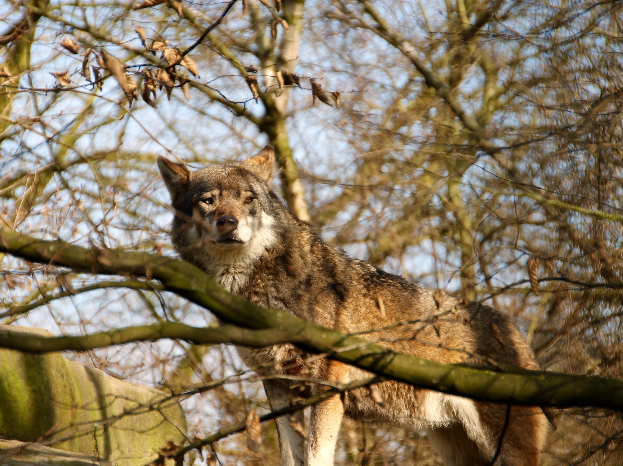 Canon 18-250mm sample photo