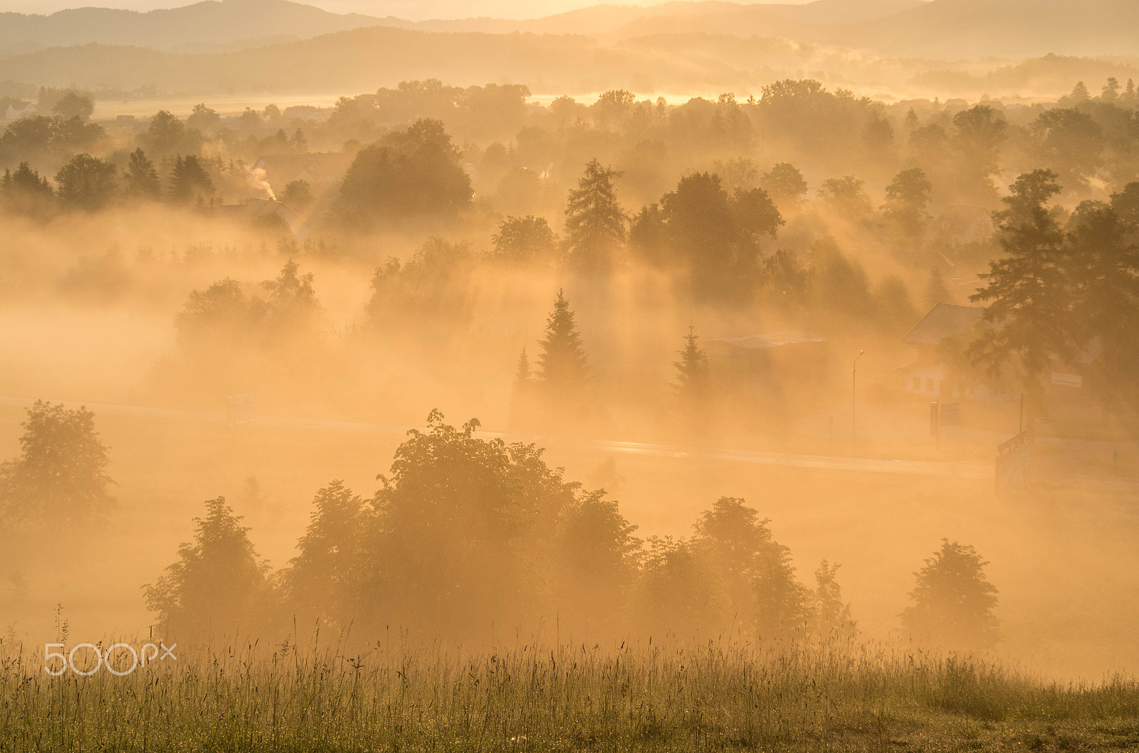 smc PENTAX-DA L 50-200mm F4-5.6 ED sample photo. Golden dawn photography