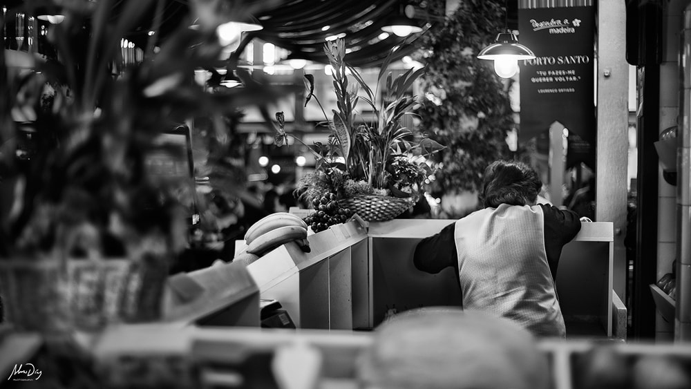Sony a7 + Minolta AF 50mm F1.7 sample photo. Frames xxx photography