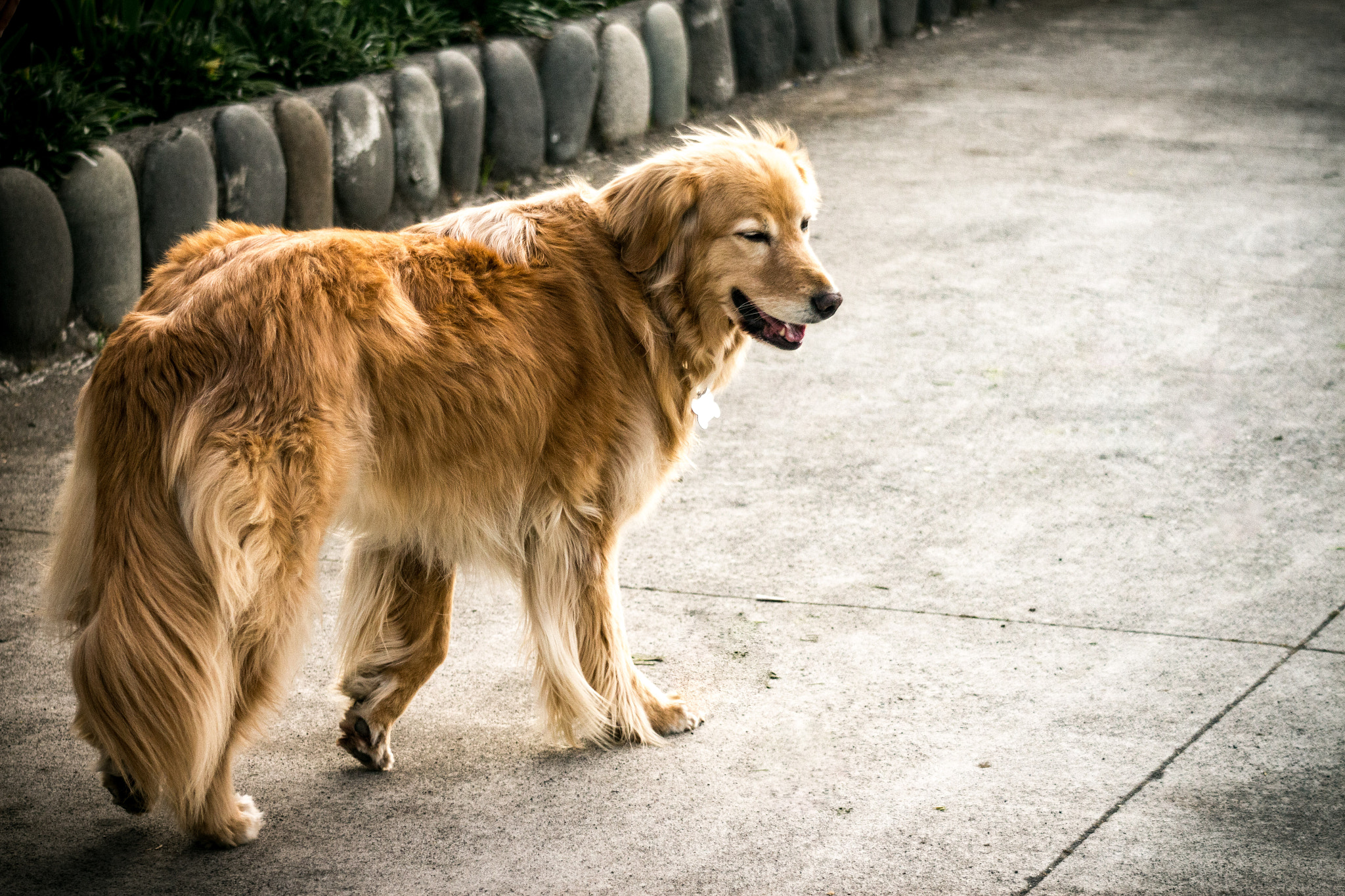 Canon EOS 700D (EOS Rebel T5i / EOS Kiss X7i) sample photo. Can photography