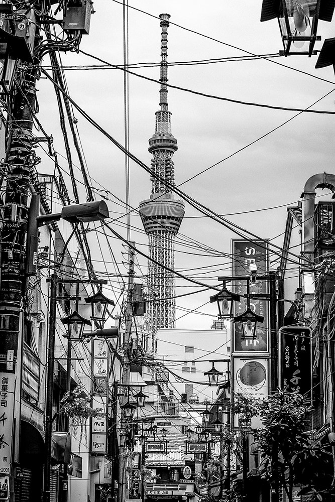 Sigma 50mm F1.4 EX DG HSM sample photo. Sensouji temple & tokyo tower photography