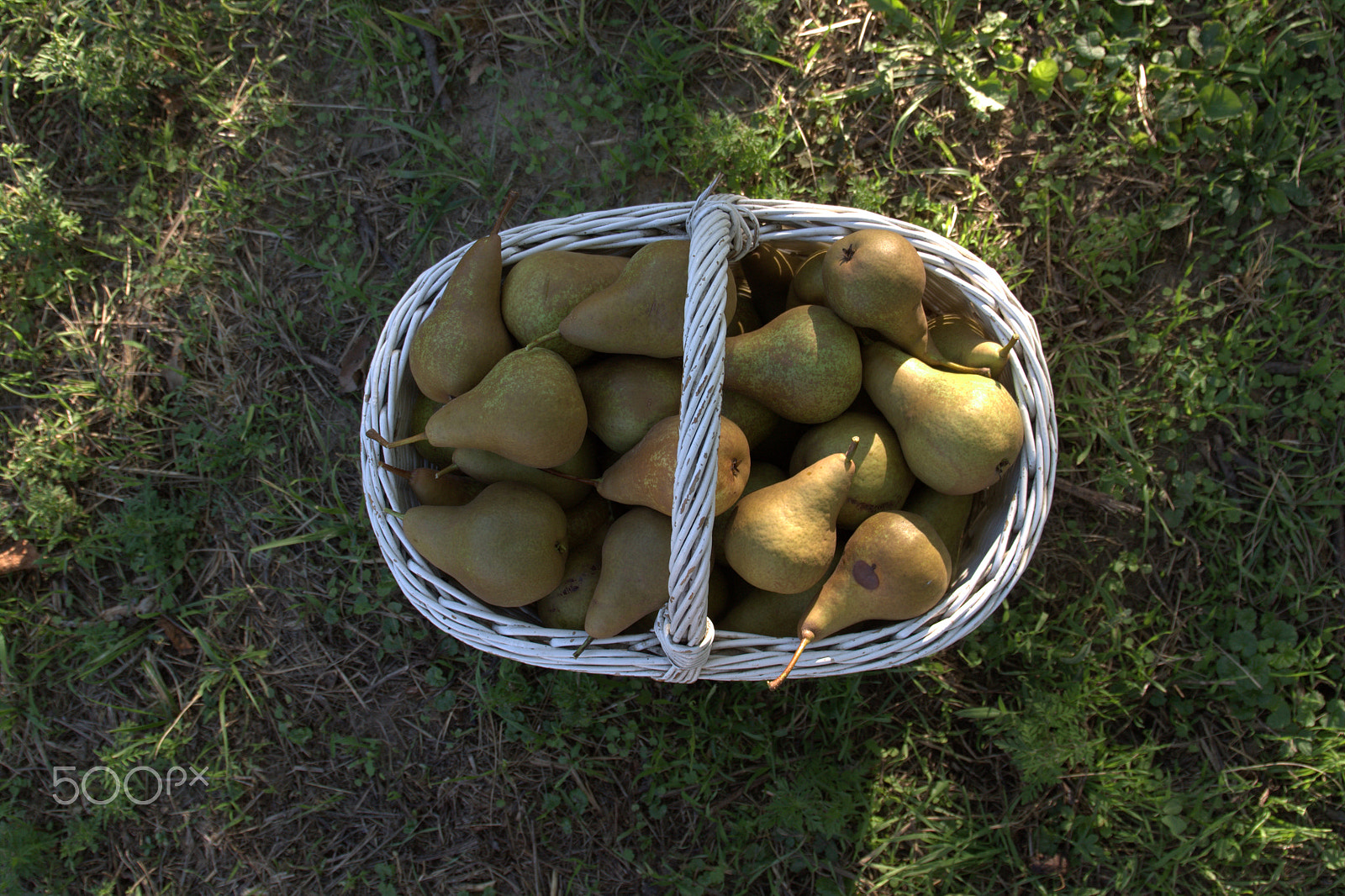 Canon EF 24-105mm F3.5-5.6 IS STM sample photo. Pear photography