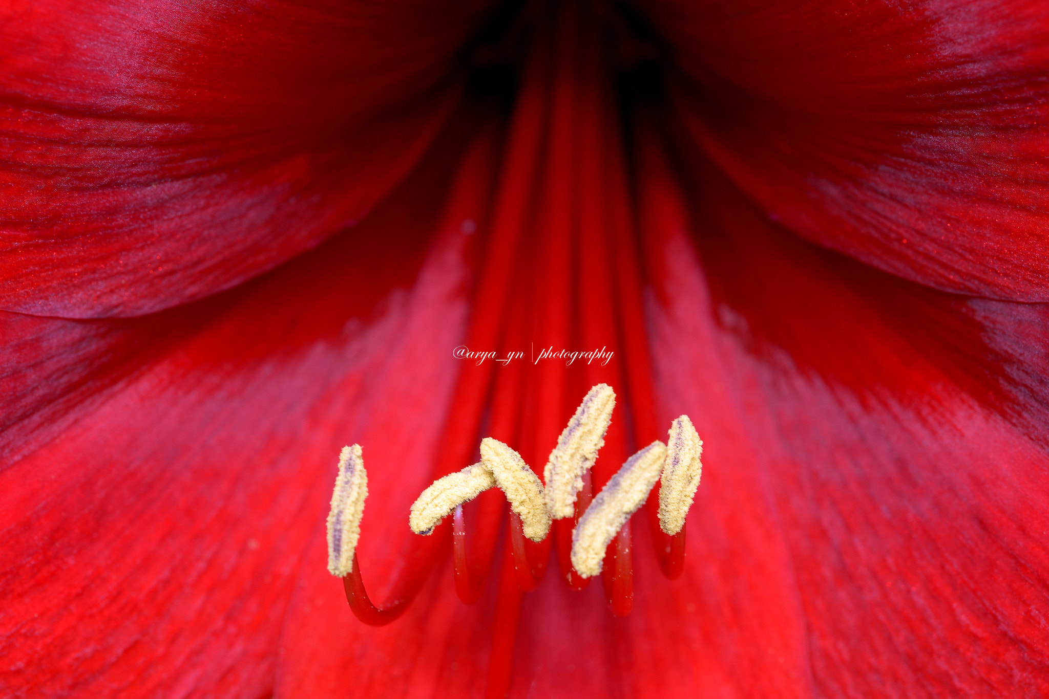 Sigma 105mm F2.8 EX DG OS HSM sample photo