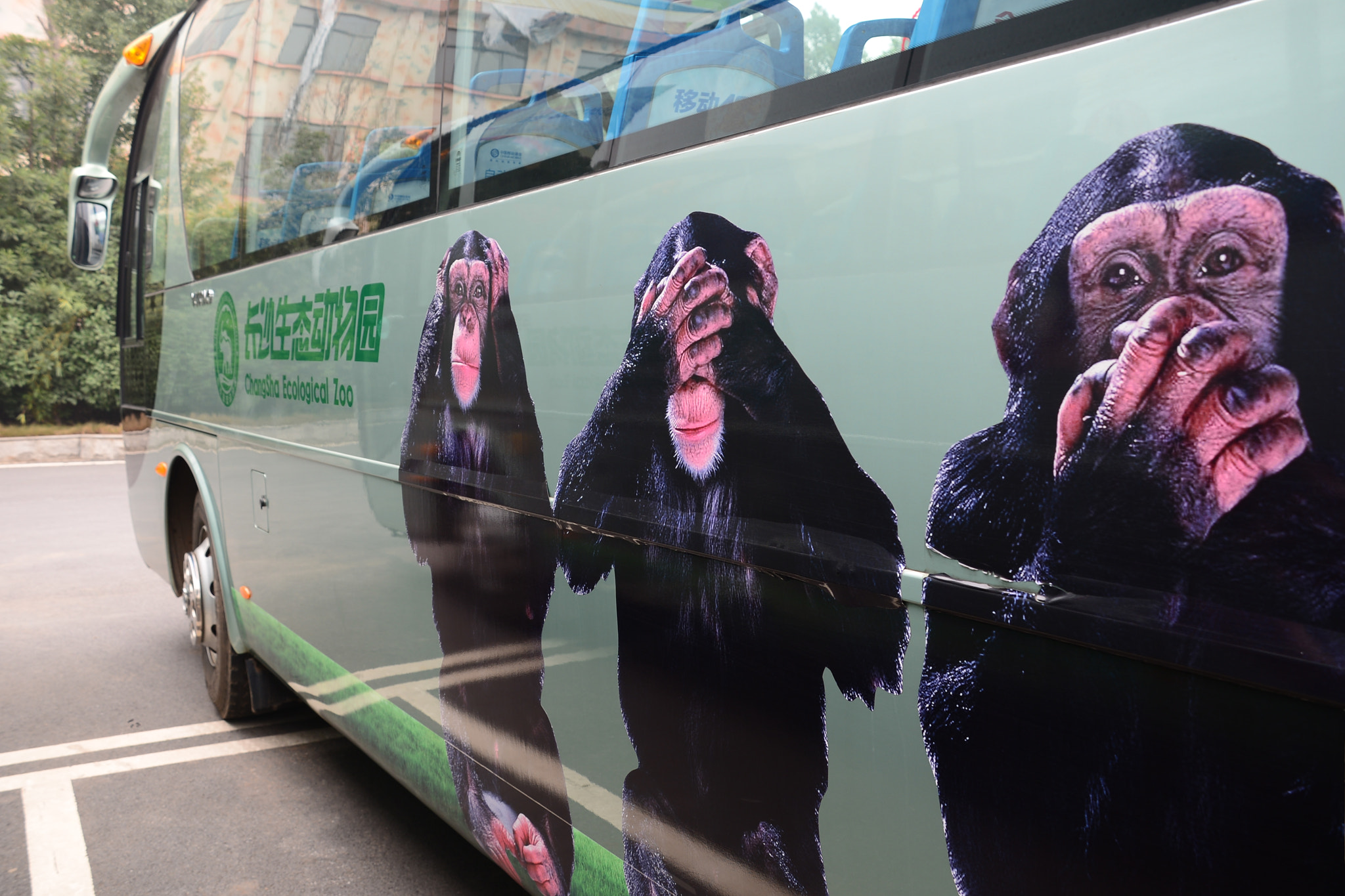 Nikon D600 sample photo. See no evil hear no evil speak no evil photography