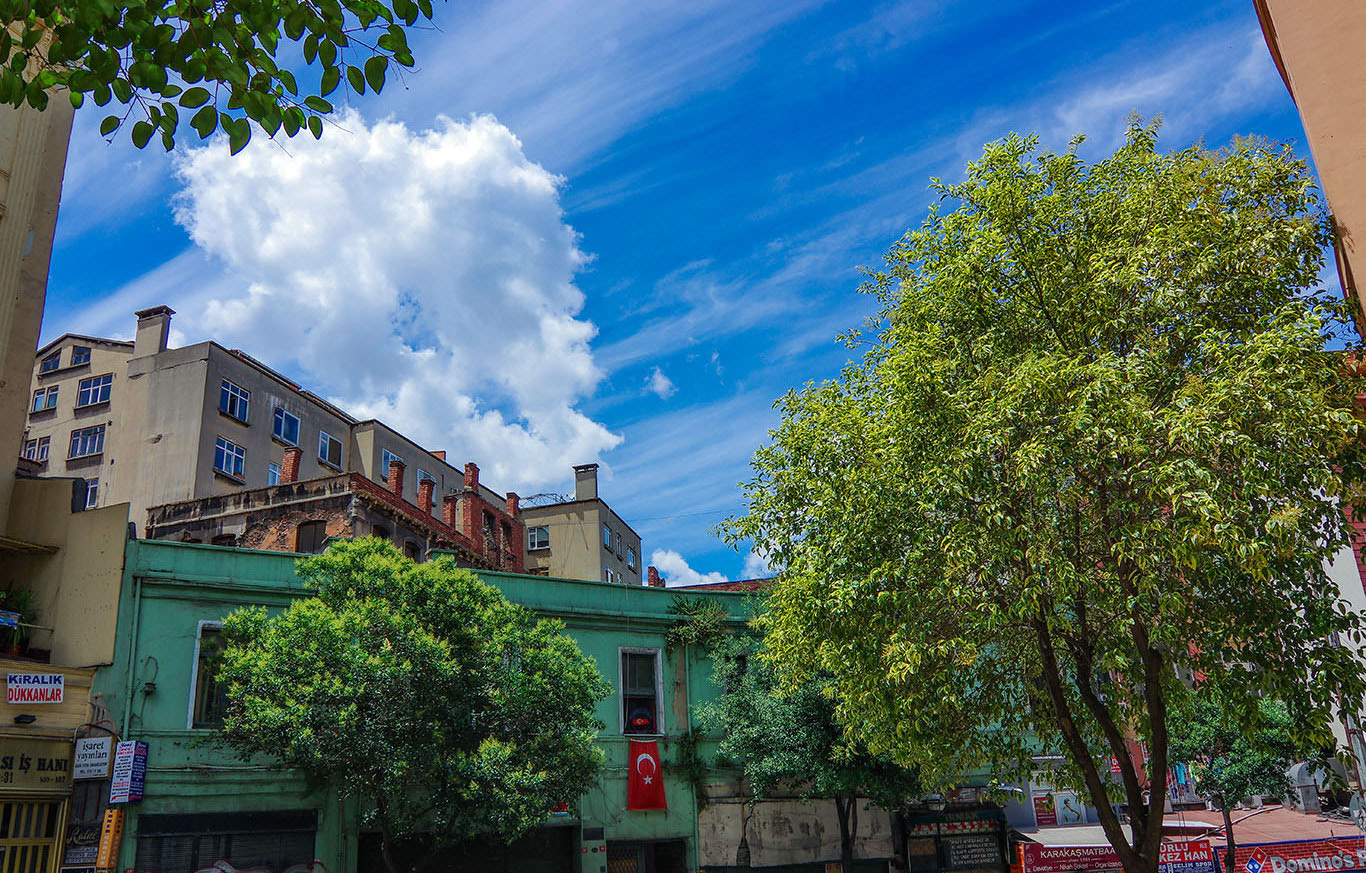 Pentax K-3 II + Pentax smc DA 12-24mm F4.0 ED AL (IF) sample photo. A beautiful summer day photography