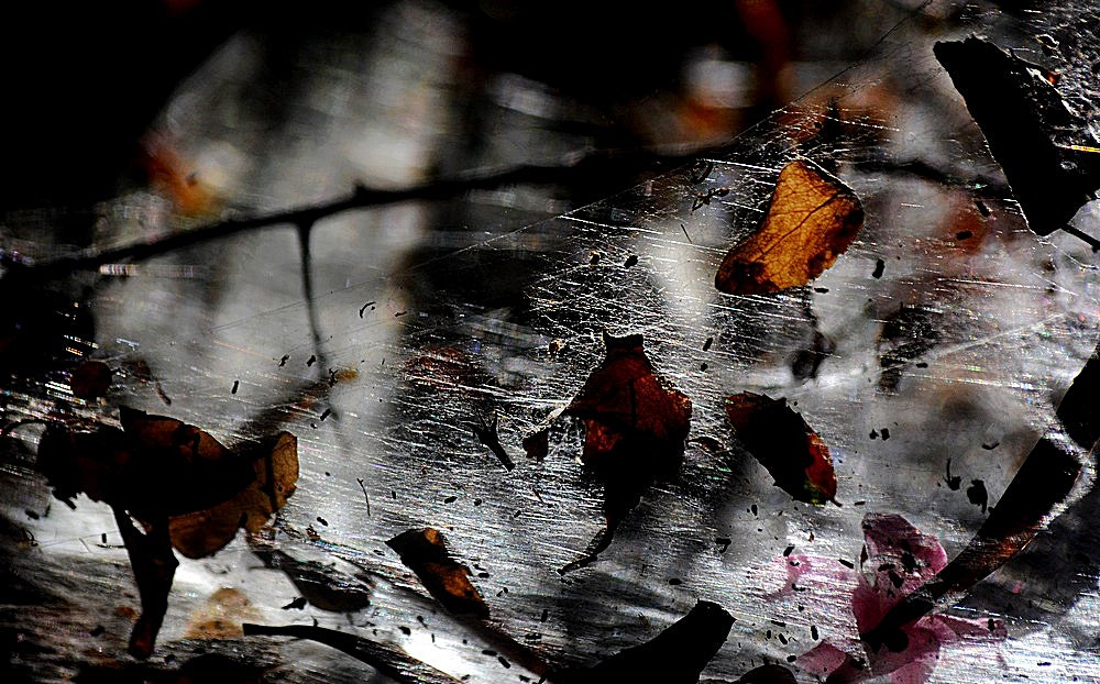 Sigma 70-300mm F4-5.6 APO Macro Super II sample photo. Nature - detail  - abstract 02 photography