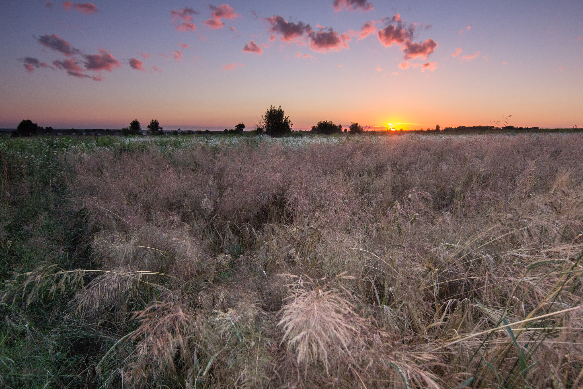 Tokina AT-X 12-28mm F4 Pro DX sample photo. When the wind blows photography