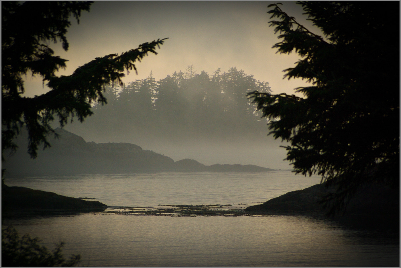 Pentax K10D sample photo. Tofino nightfall photography