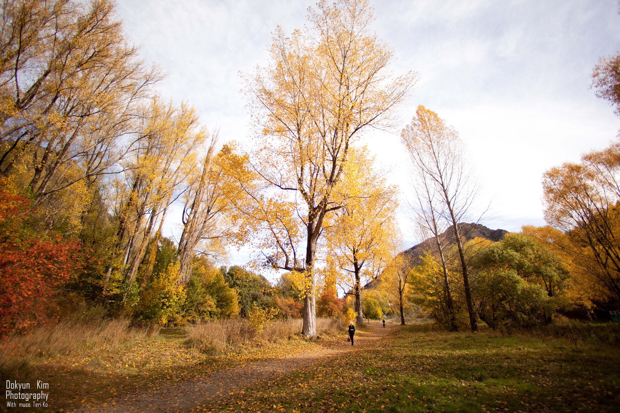 Canon EOS 5D Mark II + Canon EF 14mm F2.8L USM sample photo. In the midst of autumn photography