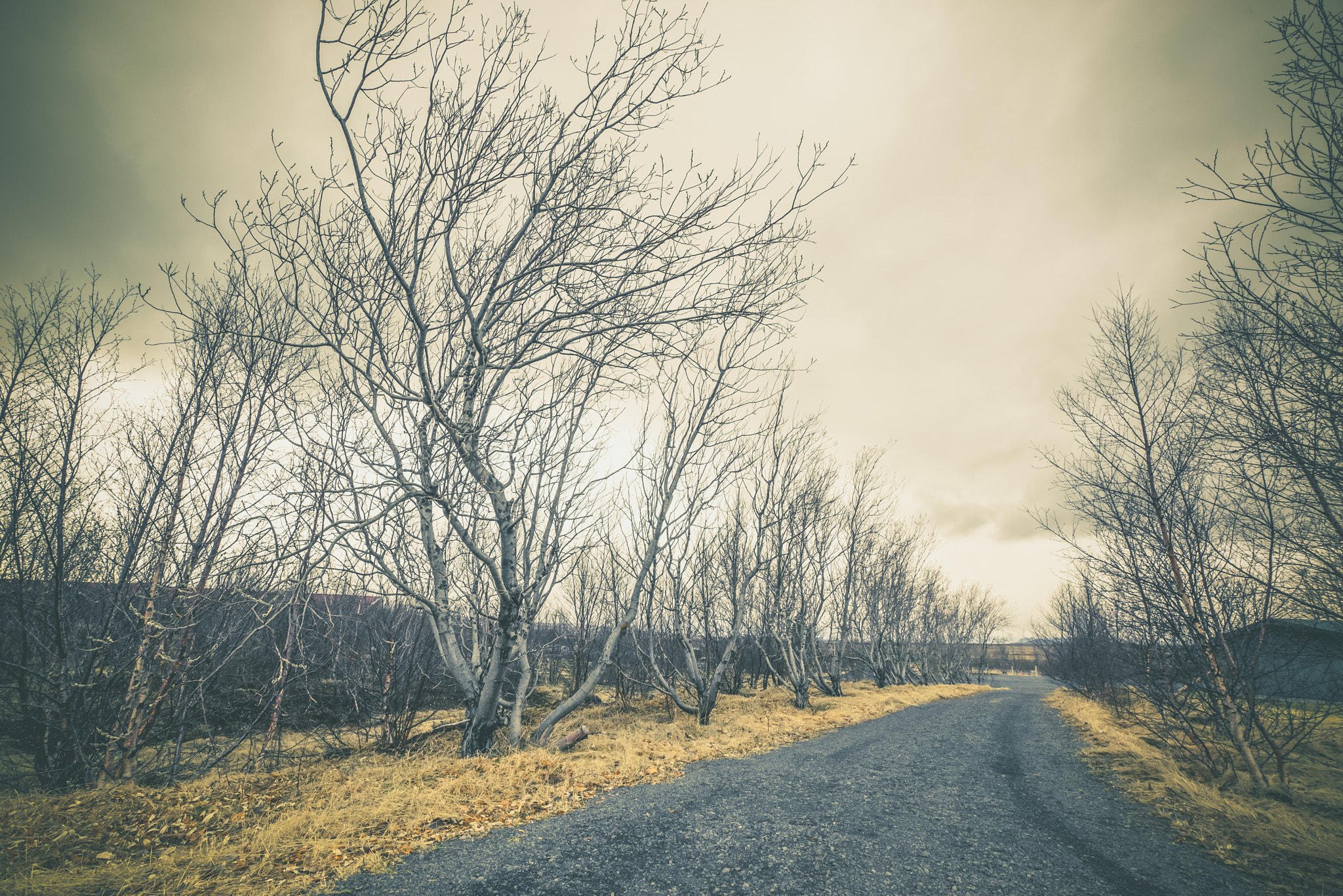 Sony a7R + Sony Vario-Sonnar T* 16-35mm F2.8 ZA SSM sample photo. Black gravel road in cloudy weather photography