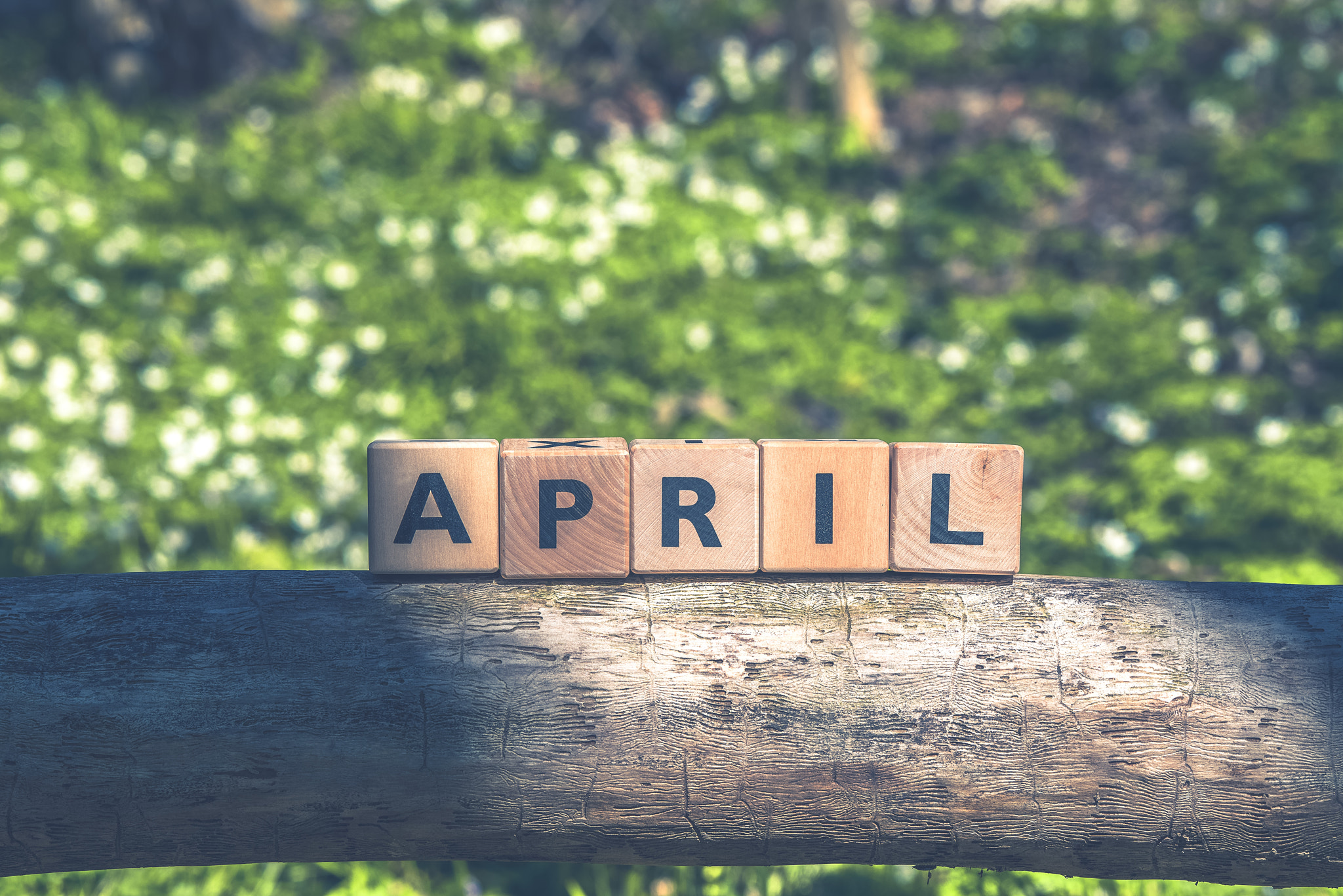 Sony 70-400mm F4-5.6 G SSM II sample photo. Green garden in april with a sign photography